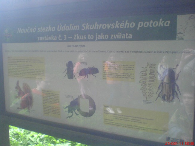 Skuhrovský potok (119)
